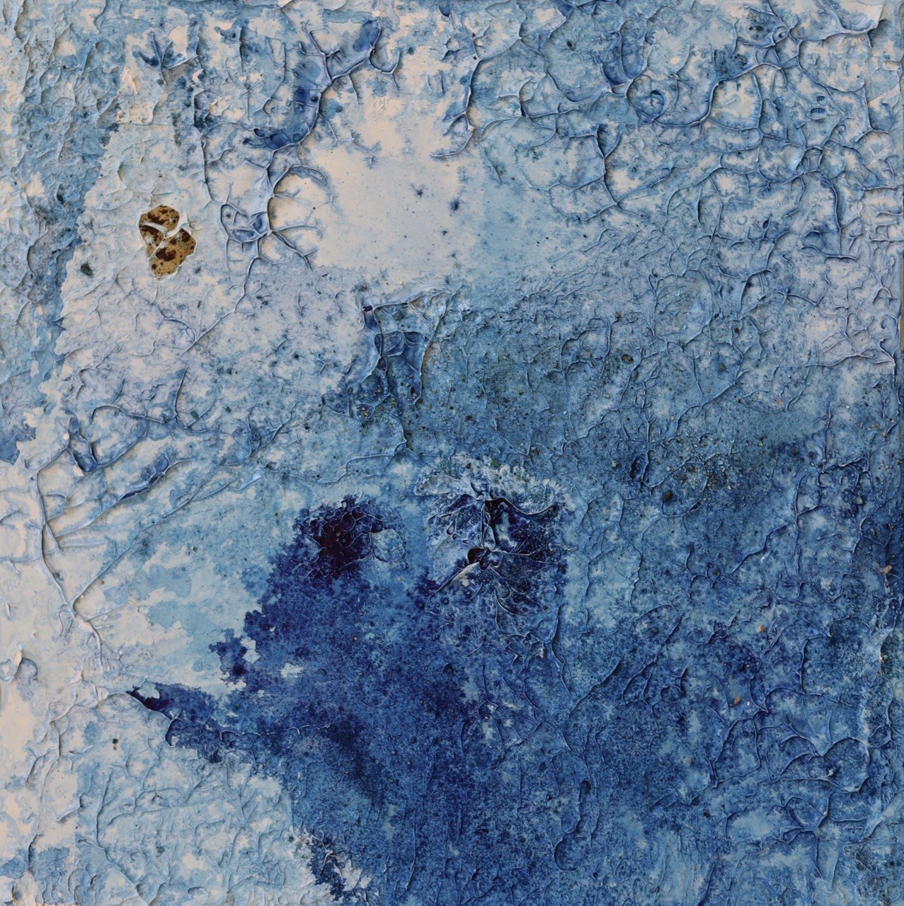 Winterbird No. 2 — Helen Aurelius Fine Art